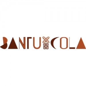 Bantucola.com The Gulf Coast Black Business Directory