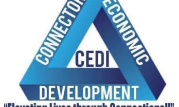 Connector Economic Development Inc